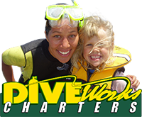 Diveworks Charters | Dolphin and Seal Encounters | Fishing and Diving | Whale Island Guided Tours